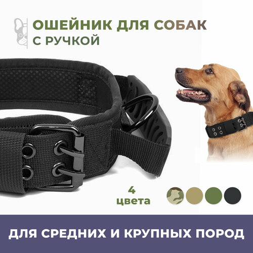 ���� ������� ��� ����� ������� � ������� ����� ����������� � ������ / ������ / ������ XL, ������ ������