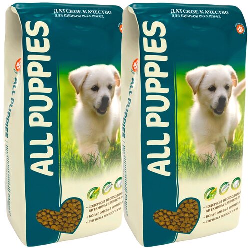  ALL PUPPIES   .  , 13    -     , -,   