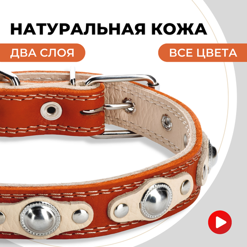 ���� ������� ������� ��� ������� � ������� �����, ��� ������ ������� �����, �����������, ������ ������