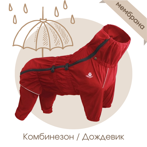      RAIN, - 2XL,    -     , -  