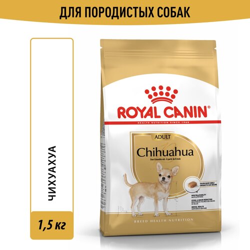    Royal Canin Chihuahua Adult ( )       8   12 , 1,5    -     , -  