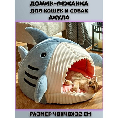 ���� ����� ������� ��� �����, �����, �������� �����, ������ ������