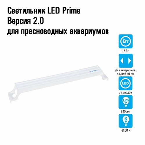   LED Prime v2.0 12W 40    -     , -  