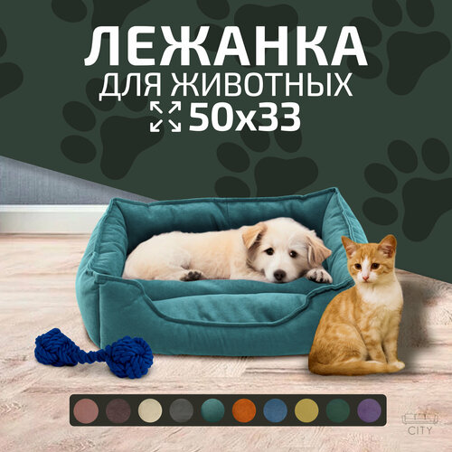 ���� ������ ������� City HD ��� ����� � �����, 50�33�13 ��, ������ L, ���������, ������ ������