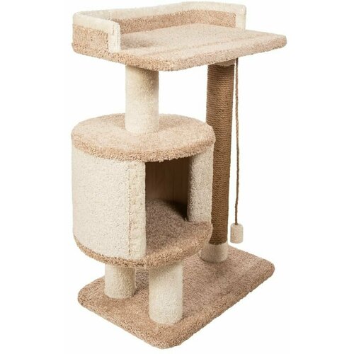 ���� ������� �������� ��� ����� 