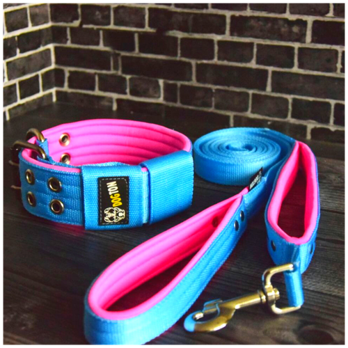 ���� �������� �������, ������� 1.5 ����� � ������ 