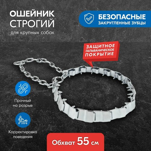 ���� ������� ������� �������� ��� ����� 