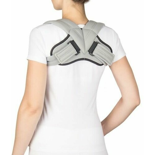 ���� �-1790 ���������� �������������� (������ ������) (�.54.10) (������: S), ������ ������