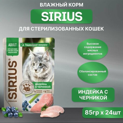    SIRIUS  ,   , , 85*24   -     , -  