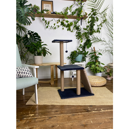 ���� ���������� ��� ����� ����� ����� � �����, �����, ������ ������