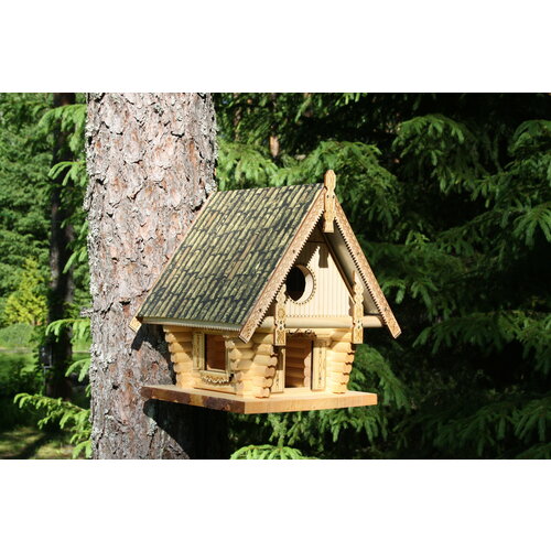 ���� �������� ��� ���� � ����� 