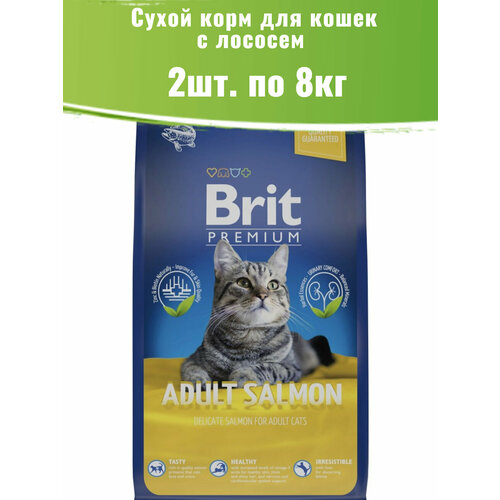  Brit Premium 2  8 Cat Adult Salmon     ,  