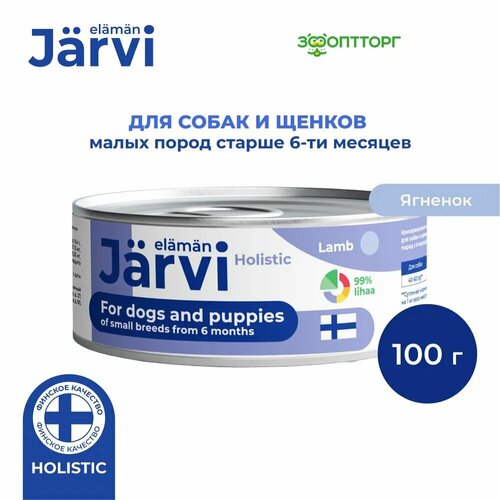  Jarvi        , 100 .   -     , -  