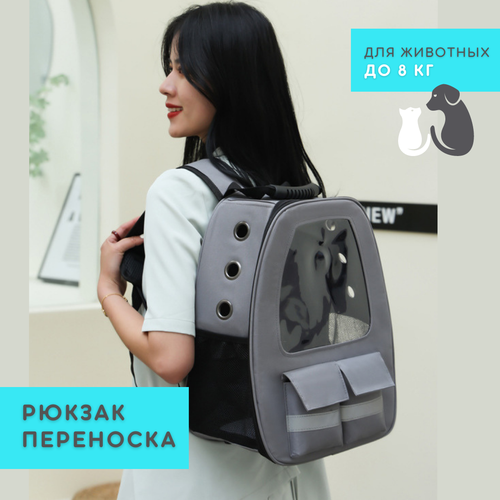 ���� ����� ������ ��������� ��� ����� � ����� � ����� ��� ������, ����� ������, ADAMS, ������ ������