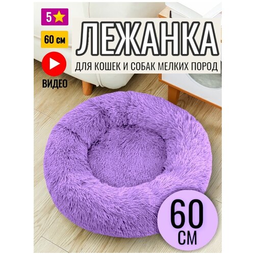 ���� ������� ������� ��� ����� � ����� 60 ��, ������ ������