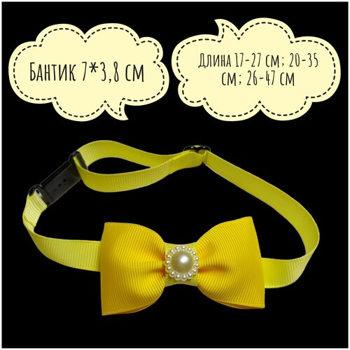 ���� ������� ������� ��� ����� � �����, ����� ������ ����� � ������� �����, ������ ������� ��� �������� 26-47 ��, ������ ������