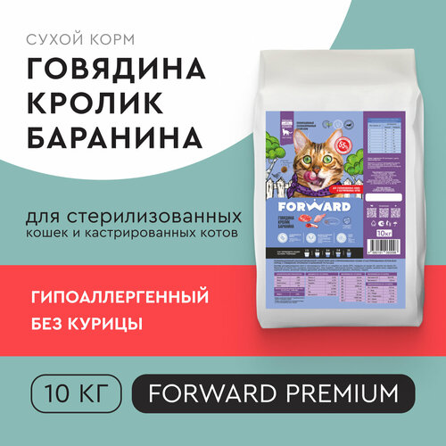      FORWARD ,   , , 10    -     , -  