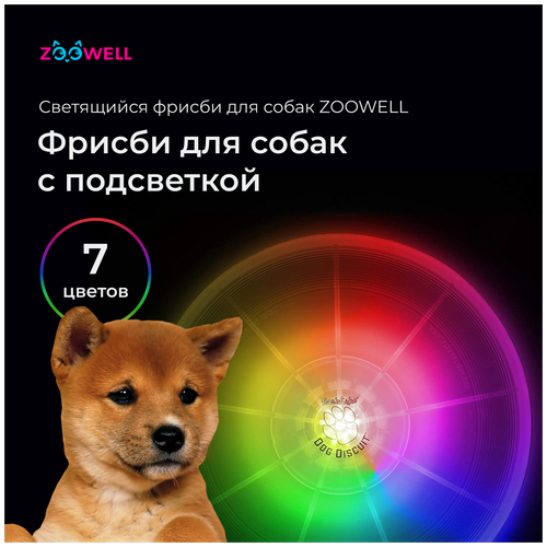     ZooWell Play,   ,   , , 13    -     , -  