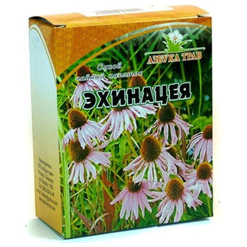 ���� ������ ���� ����� ��������, 40 �, ������ ������