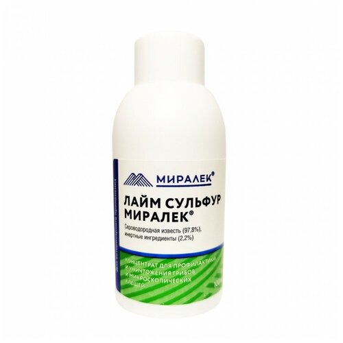 ���� ���� ������� �������, 100 ��, ������ ������