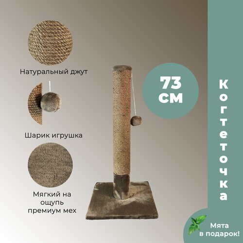 ���� ���������� ������� �� ����� 73 �� ��� ��������� � ������� �����, �������� �������� �����, ����� �������, ����������, ������ ������