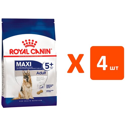  ROYAL CANIN MAXI ADULT 5+       5  (4   4 )   -     , -  