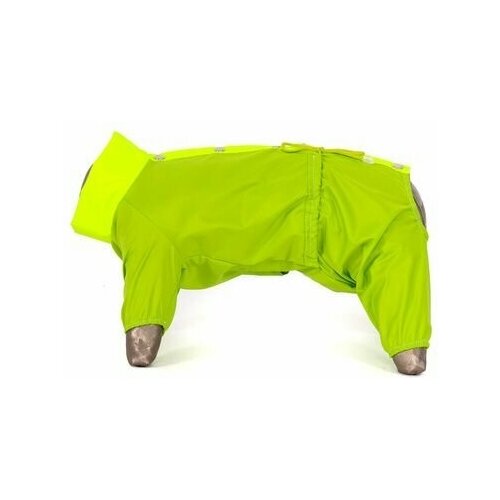 ���� �������� ��� ����� Yoriki ���� ������� �, ������ ������