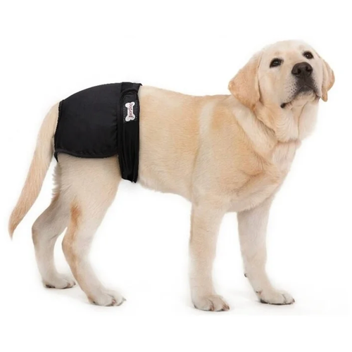 ���� ����� ������������ PET&HOME ��� �����, ��������� ��� �����, ���������, ������, ������ S, ������ ������