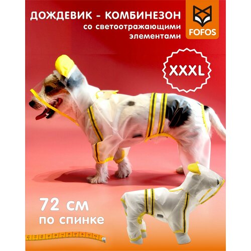      , XXXL - 72, FOFOS   -     , -  