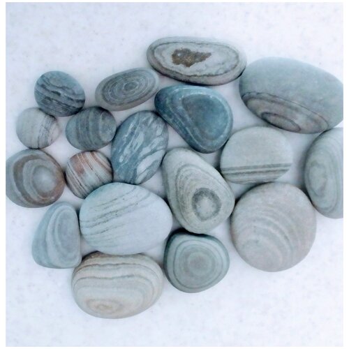 ���� ������� ������ ��� ���������/ ����� � ������ 20��., ������ ������