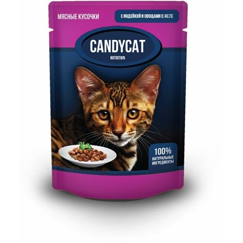  Candycat              - 85 , (48)   -     , -,   