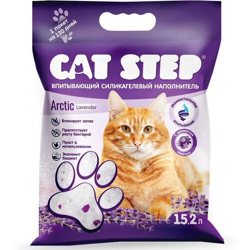  Cat Step   ,    Crystal Lavnder 15.2  - 2