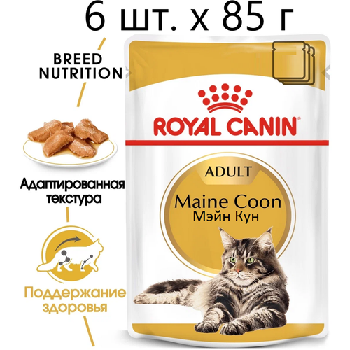      Royal Canin Maine Coon Adult,     -, 6 .  85  (  )   -     , -  