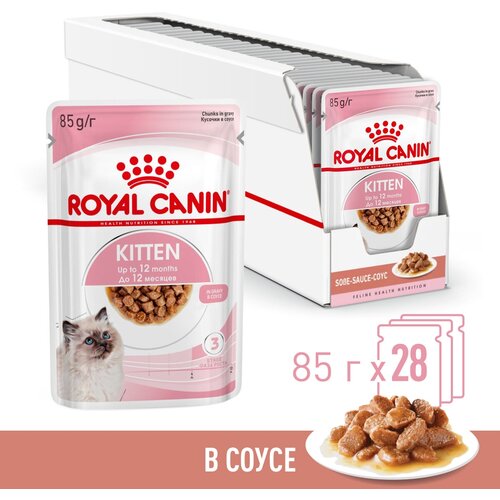        Royal Canin Kitten ()      12    280,085   -     , -  