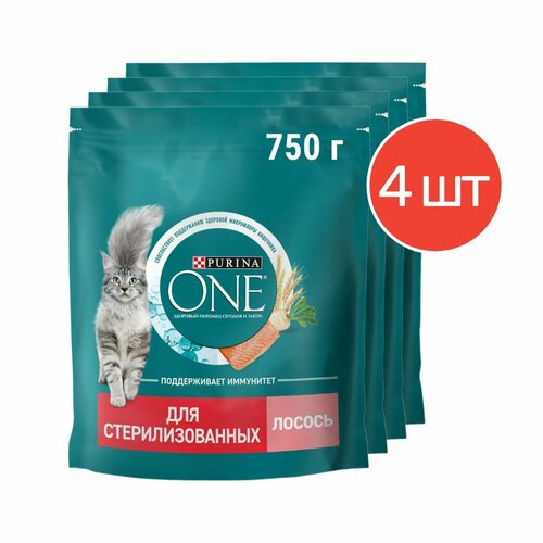    Purina ONE        750 4    -     , -  