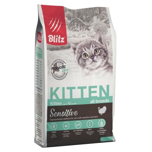  BLITZ / KITTEN Sensitive     2   -     , -,   