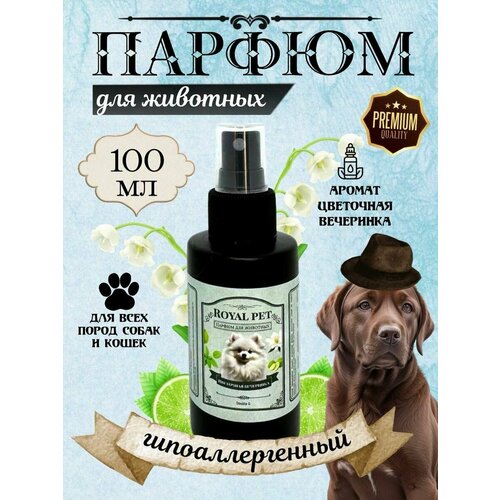 ���� ������ ��� �������� ��������� ��������� 100 ��, ������ ������