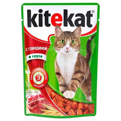  Kitekat       ,    (28  ) 85 