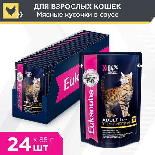     Eukanuba Adult Top Condition      , 2485   -     , -  