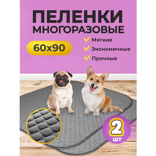      DogsParadise, 60*90 , , 1 