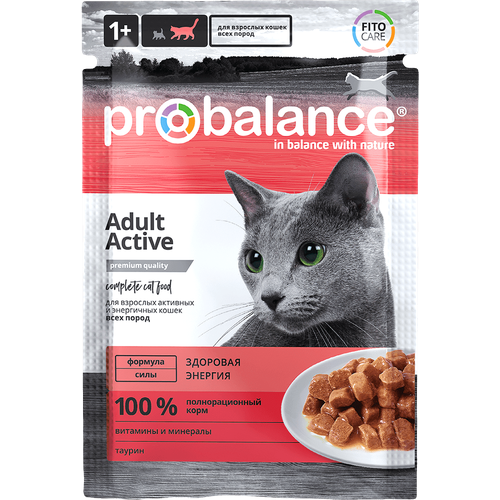    ProBalance Active   , , 85  28   -     , -  