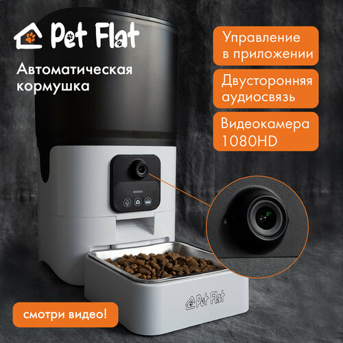       PET FLAT   -     , -  