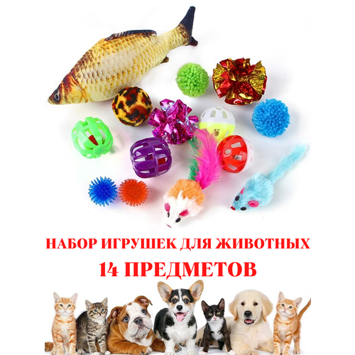 ���� ����� ������� ��� ����� �����, ������ ������