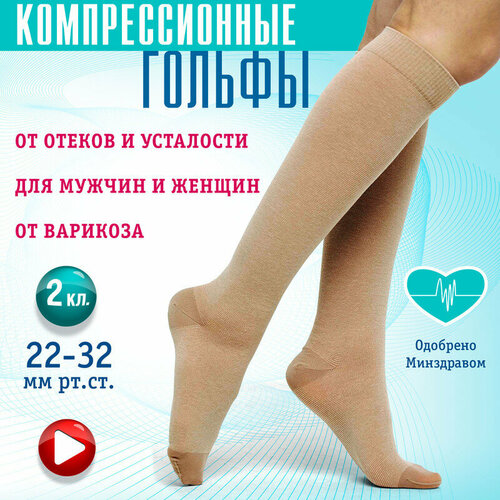 ���� ������ �������������� 2 ����� (��-��2(�)-�/2-����), �������� 2, ������ ������