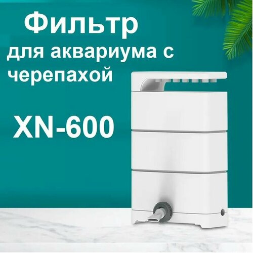       XN-600 (3 ).          -     , -  