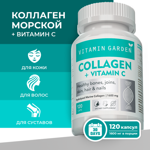        . ,   ,     , Collagen, 120 .   -     , -  