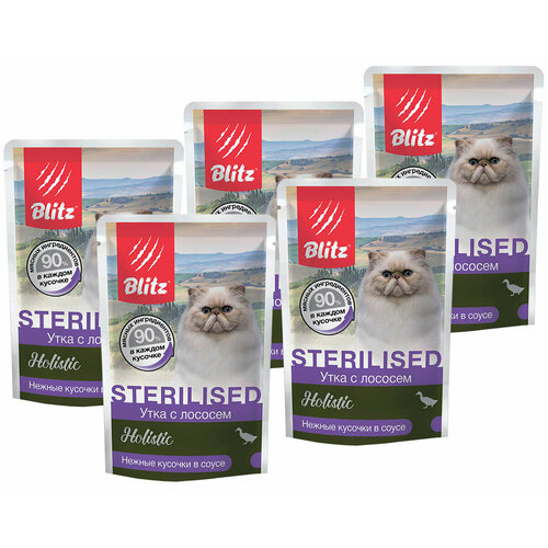  BLITZ HOLISTIC STERILIZED             85  85   5    -     , -  