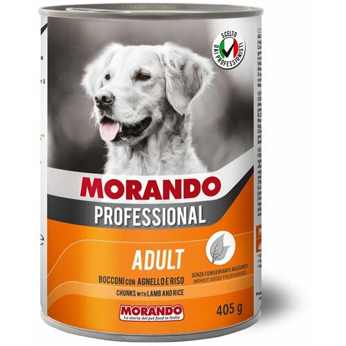     Morando Professional      405 .   -     , -  