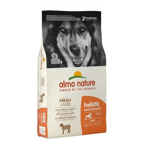      Almo Nature Holistic,  1 .  1 .  12000    -     , -  