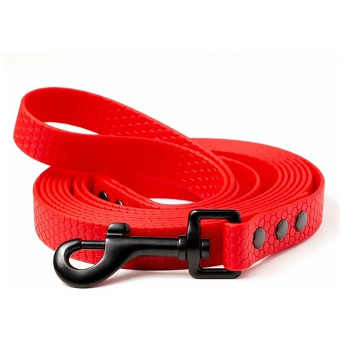 ���� ������� �� ������� 2 �, ������ 16 ��, Woofy 